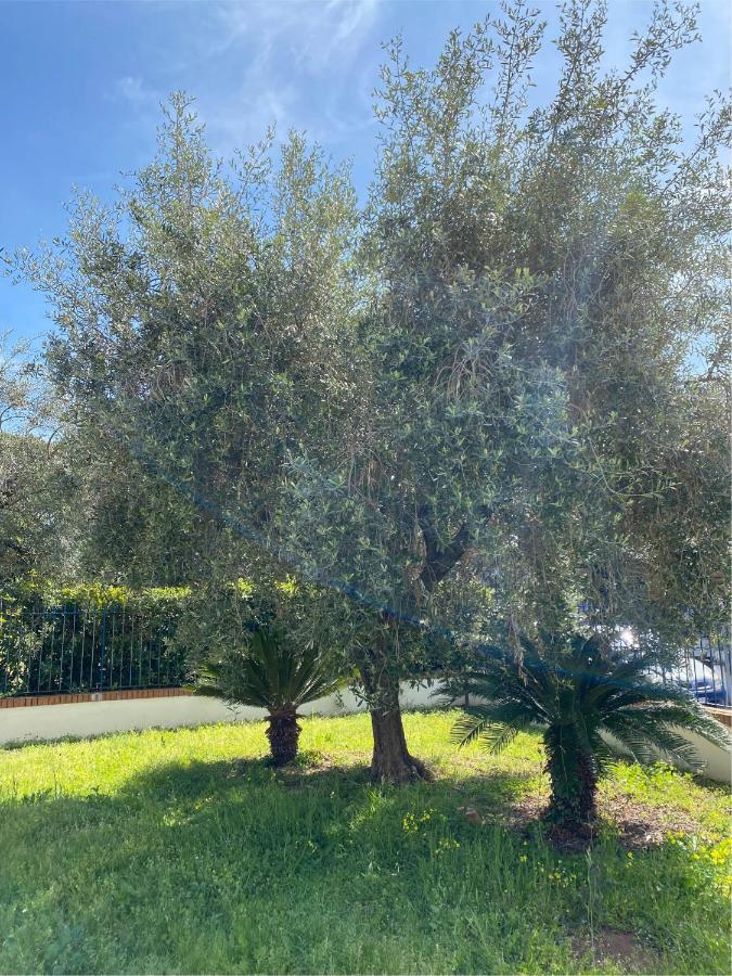 Apartamento Residenza Le Spiagge Sperlonga Exterior foto